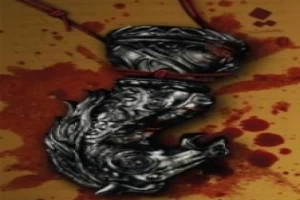 غلاف كتاب بنيامين بقلم إبراهيم عباس غلاف كتاب بنيامين بقلم إبراهيم عباس