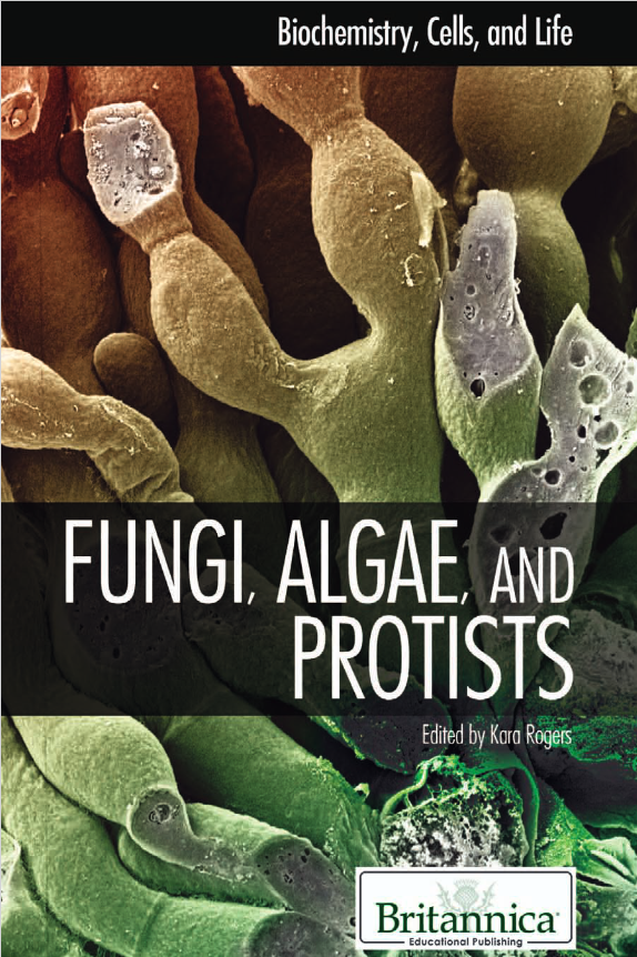 Book cover of Fungi, Algae, and Protists by Kara Rogers Book cover of Fungi, Algae, and Protists by Kara Rogers