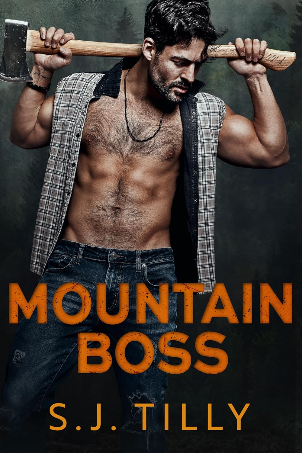 Book cover of Mountain Boss by S.J. Tilly Book cover of Mountain Boss by S.J. Tilly