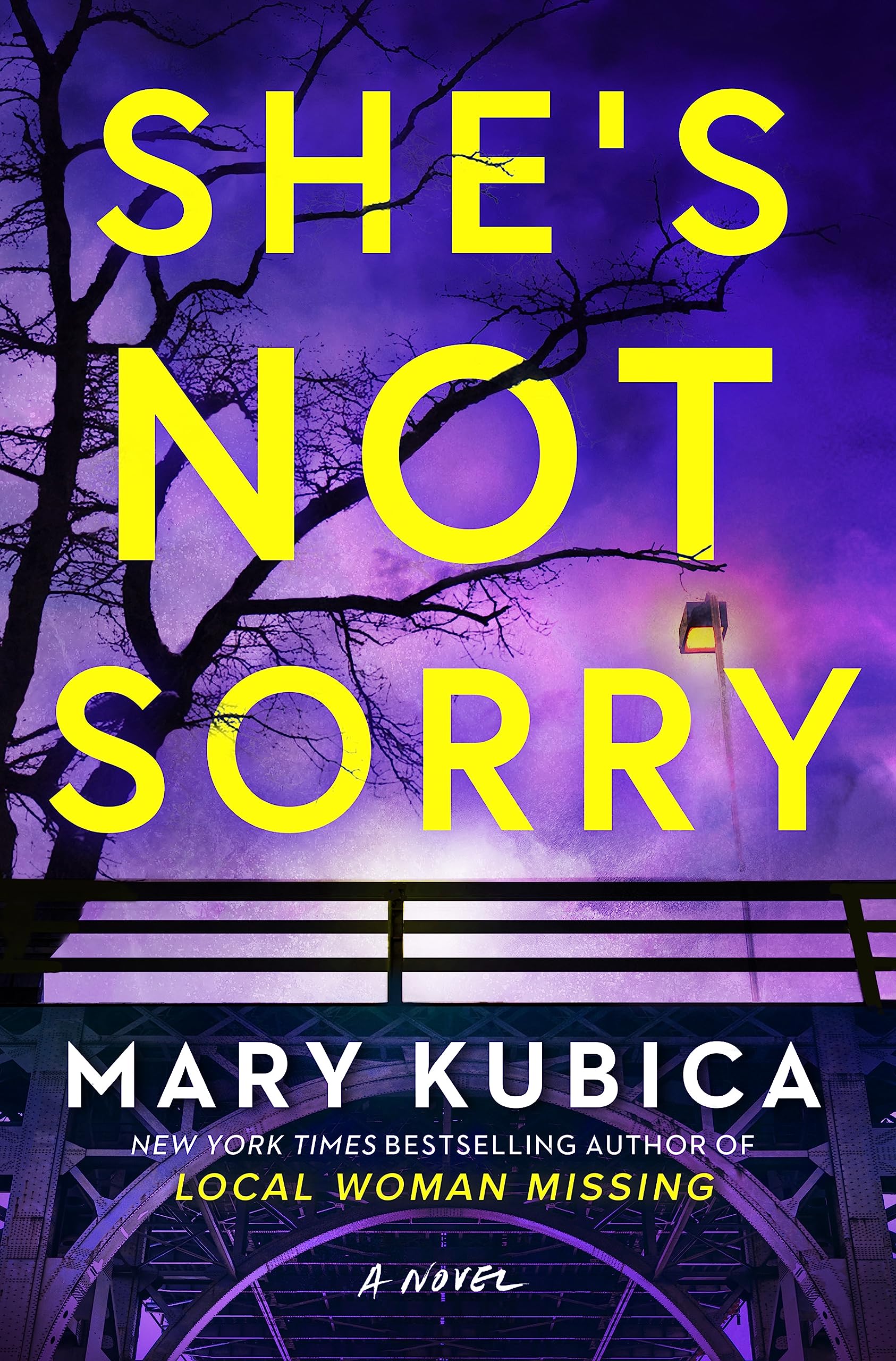 Book cover of She's Not Sorry by Mary Kubica Book cover of She's Not Sorry by Mary Kubica