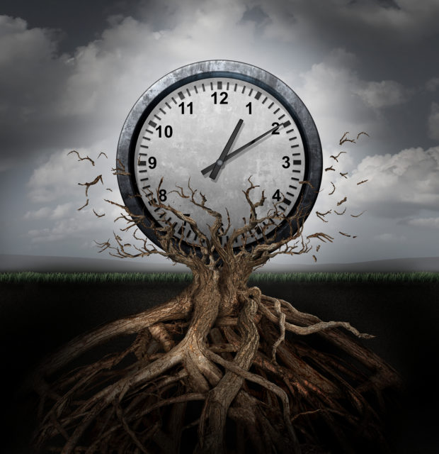 Image for Chronology section