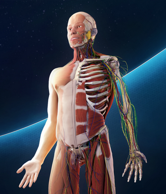 Image representing Anatomy department